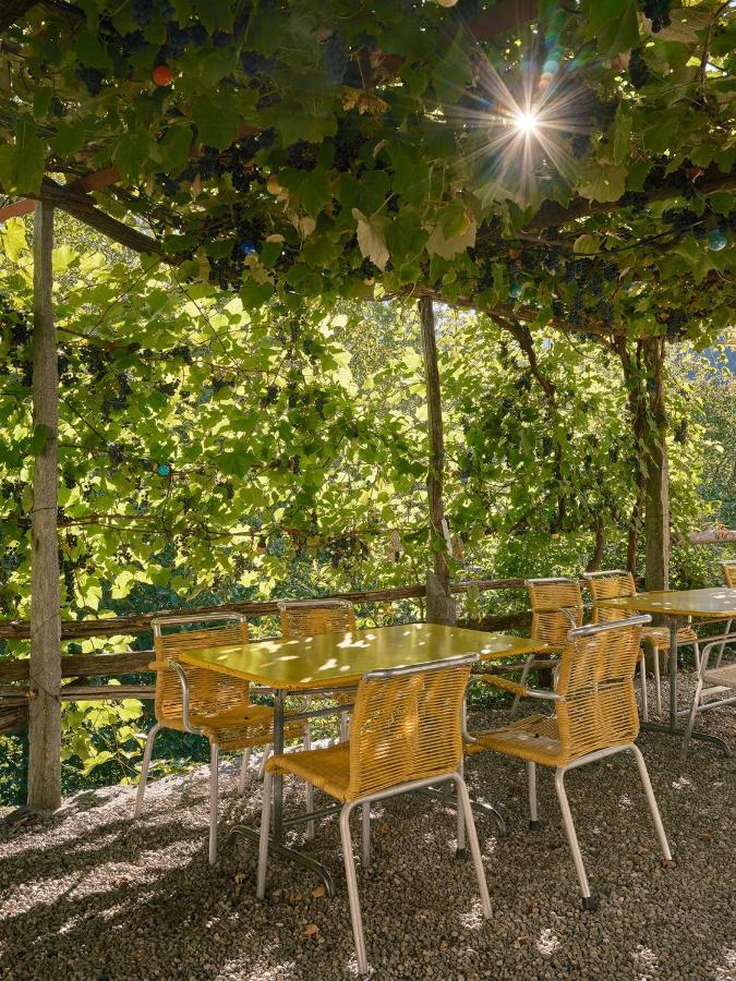 Osteria Gruetli Con Alloggio Borgnone Екстериор снимка